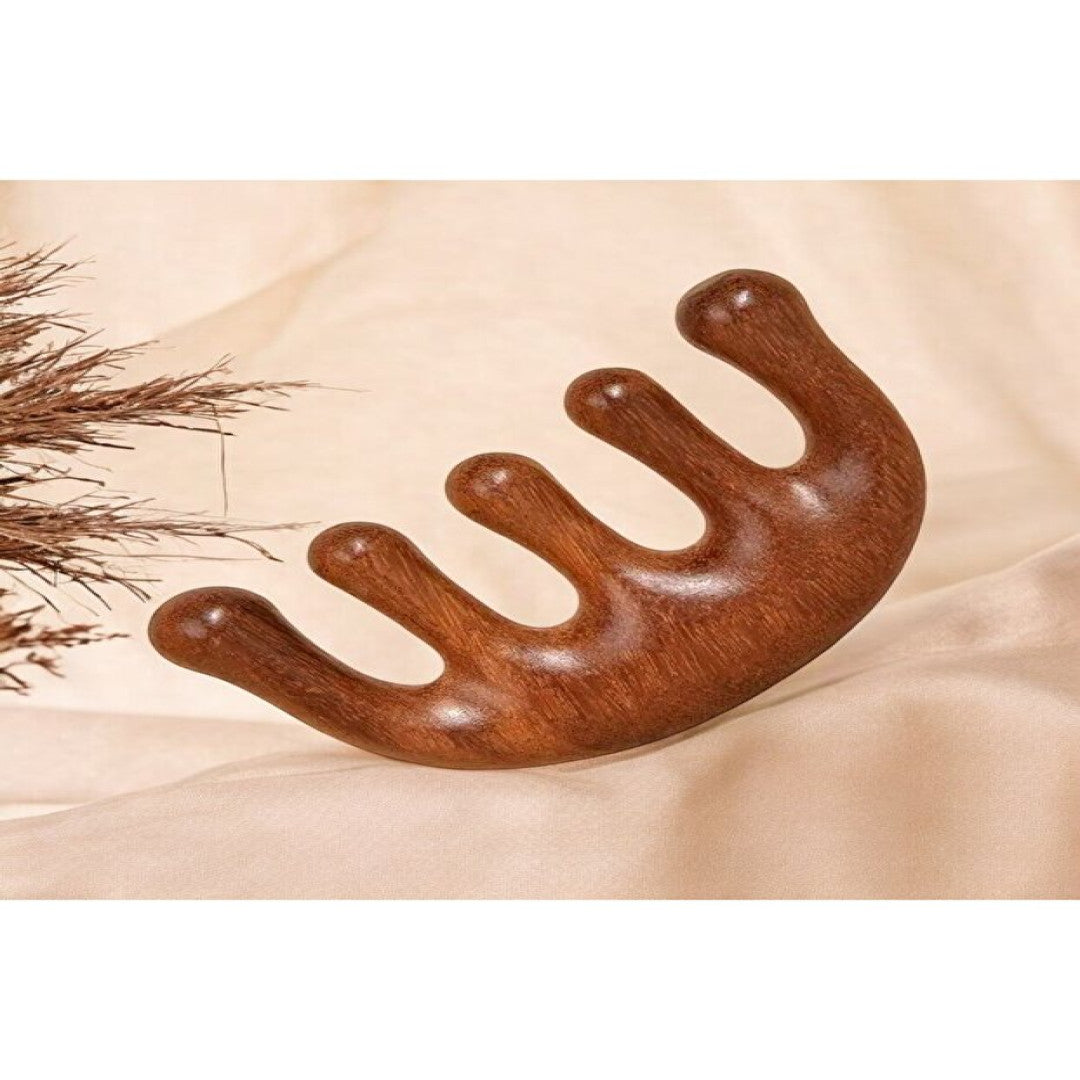 Akupunktur Masaj Aleti Ahşap Tarak