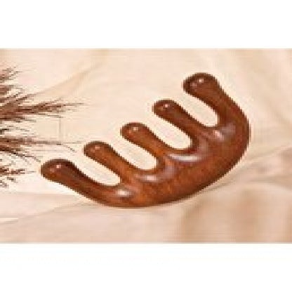 Akupunktur Masaj Aleti Ahşap Tarak