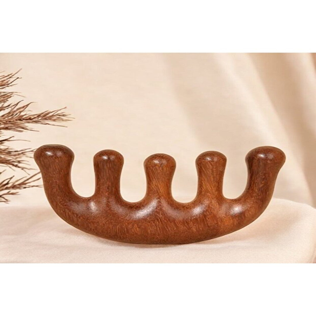 Akupunktur Masaj Aleti Ahşap Tarak